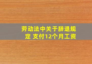 劳动法中关于辞退规定 支付12个月工资